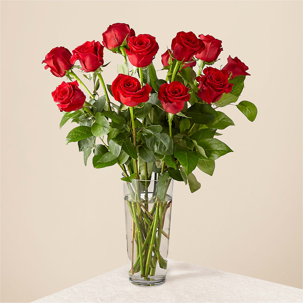 Long Stem Red Rose Bouquet – Murphy Florist, Cincinnati OH