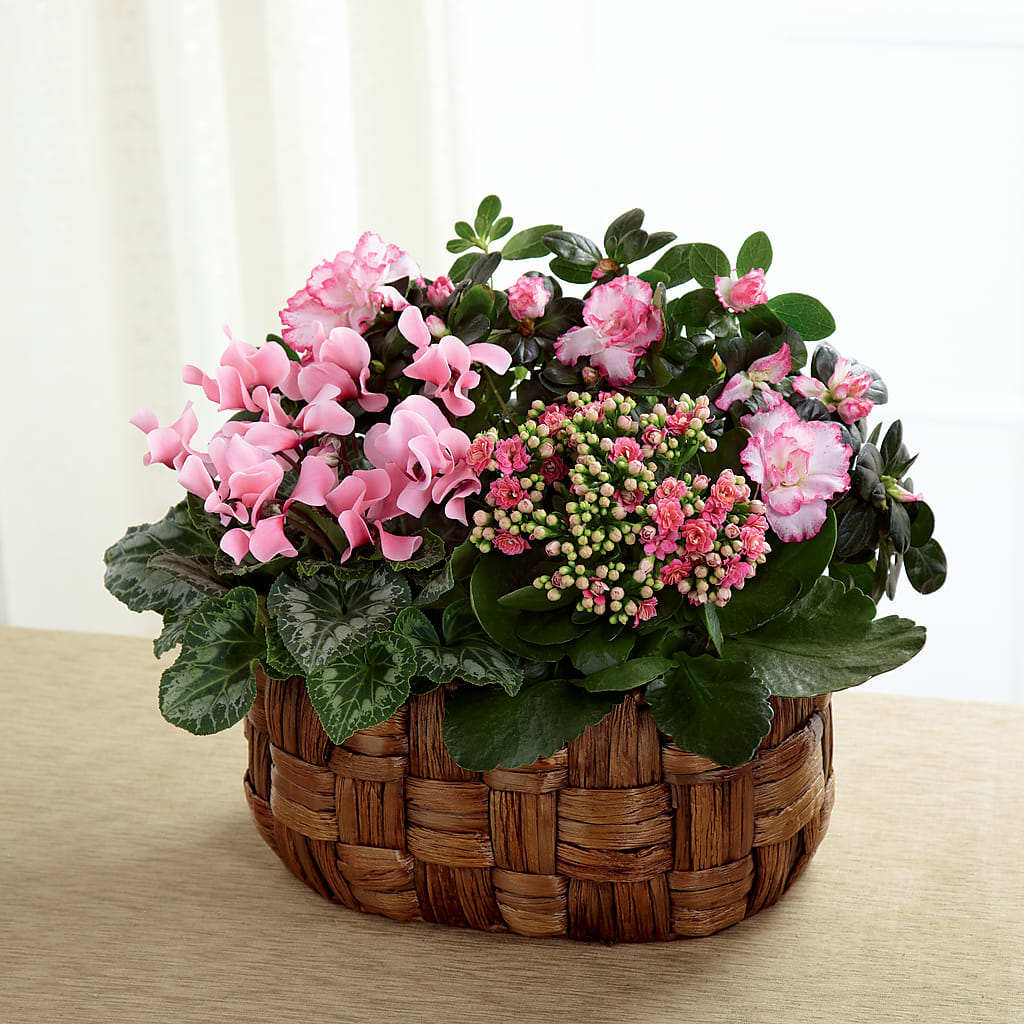Pink Assortment – Murphy Florist, Cincinnati OH