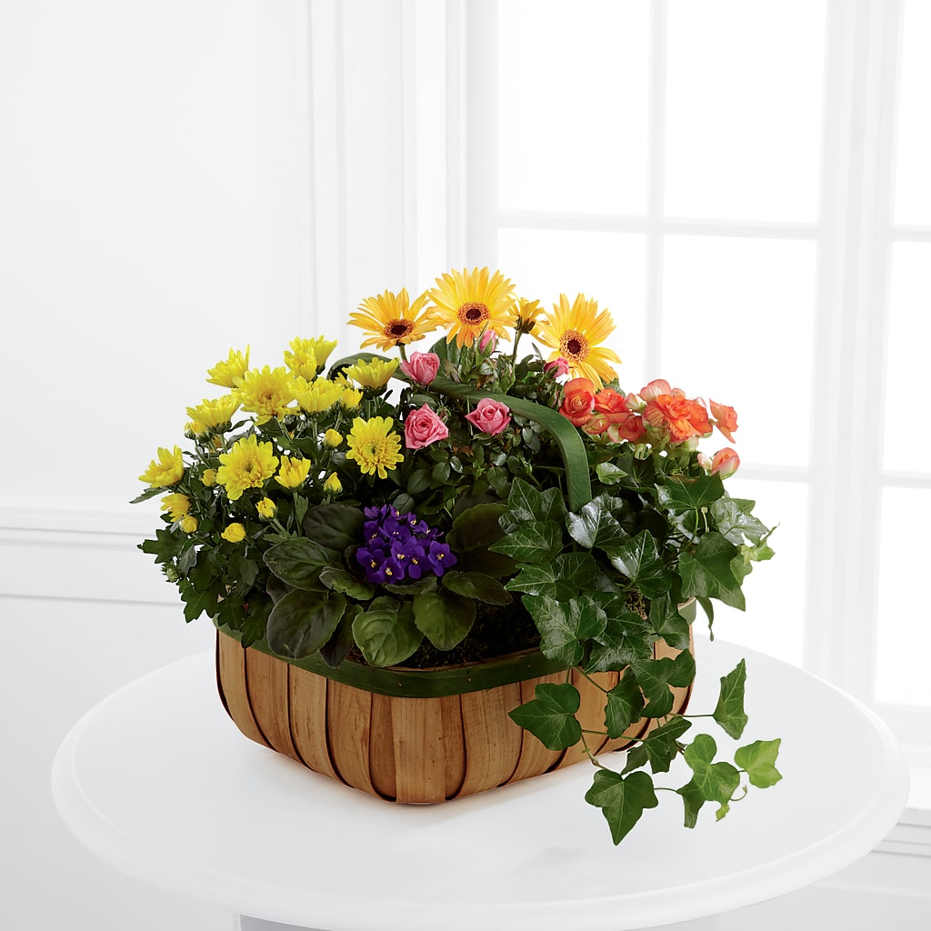 Gentle Blossoms Basket – Murphy Florist, Cincinnati OH