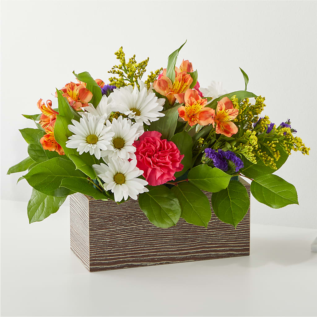 Oopsie Daisy Box Bouquet – Murphy Florist, Cincinnati OH
