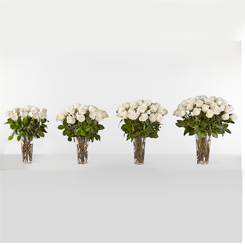 Long Stem White Rose Bouquet – Murphy Florist, Cincinnati OH