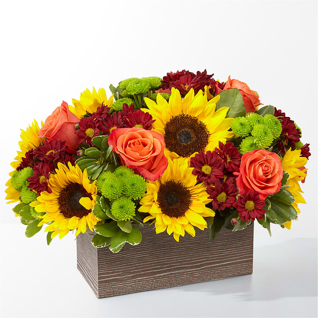 Happy Harvest Garden – Murphy Florist, Cincinnati OH
