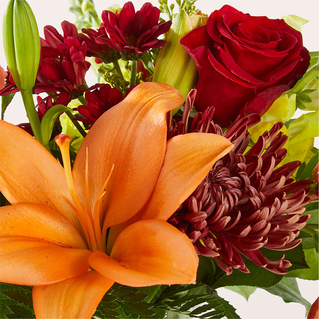 Sweater Season - A Florist Original – Murphy Florist, Cincinnati OH