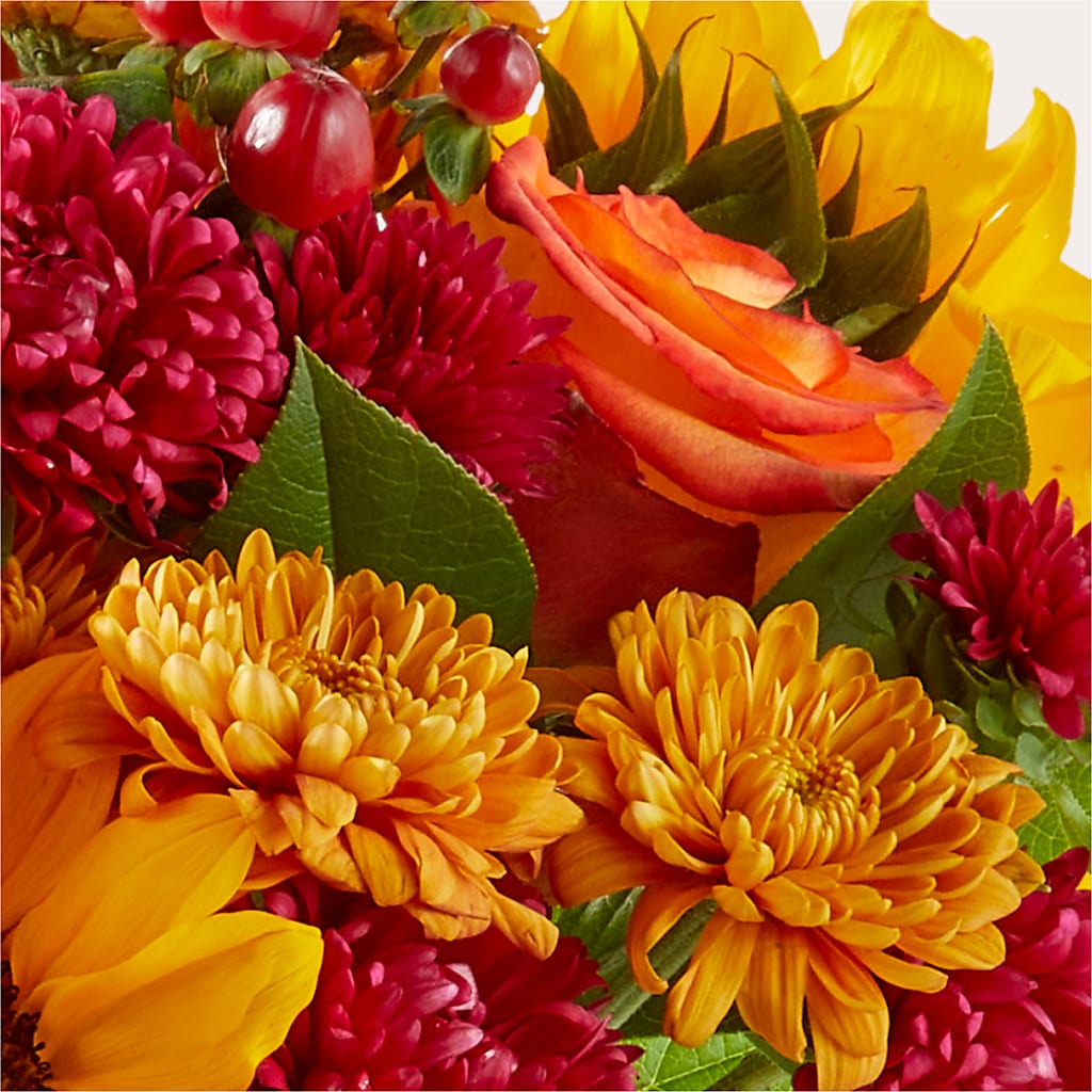 Sweater Season - A Florist Original – Murphy Florist, Cincinnati OH
