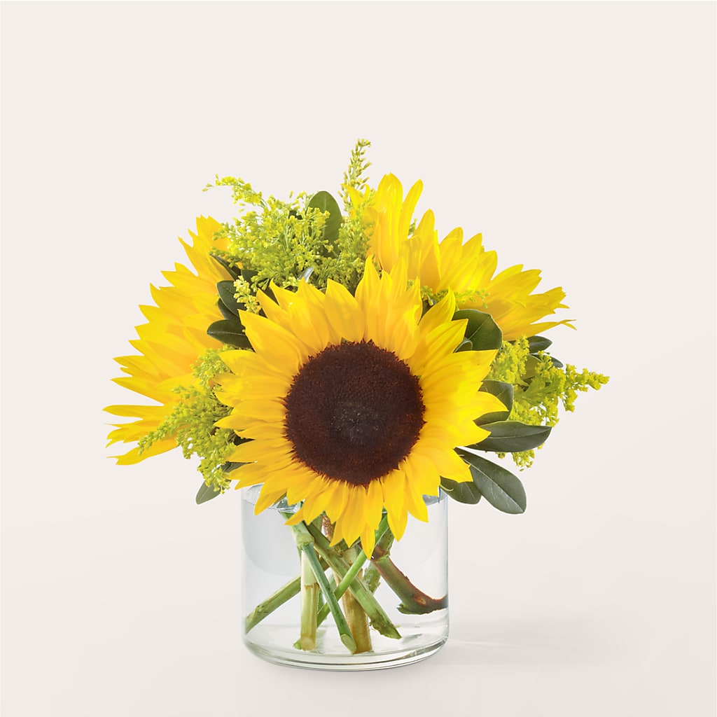 Beaming Sunflower Bouquet – Murphy Florist, Cincinnati OH