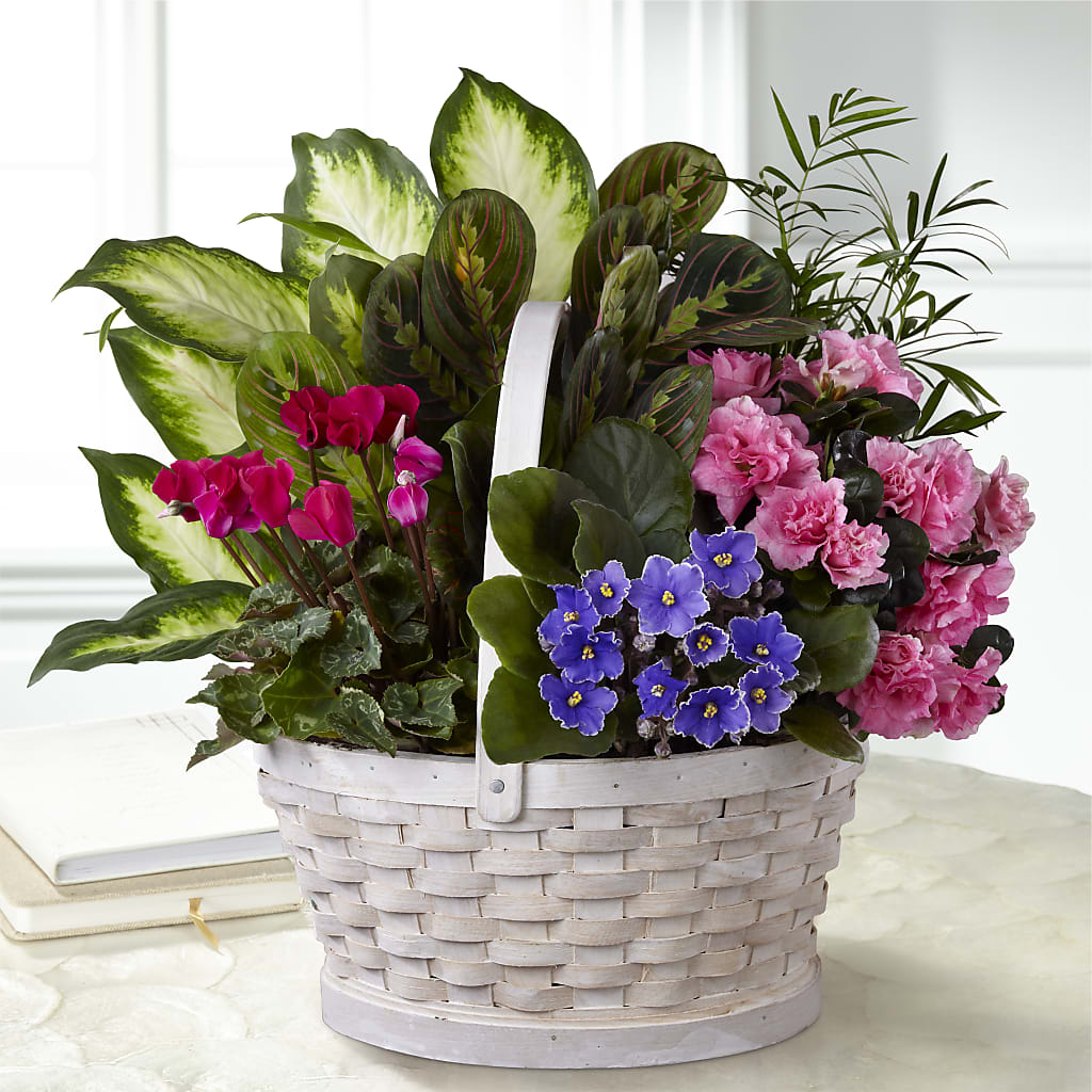 Peaceful Garden Planter – Murphy Florist, Cincinnati OH