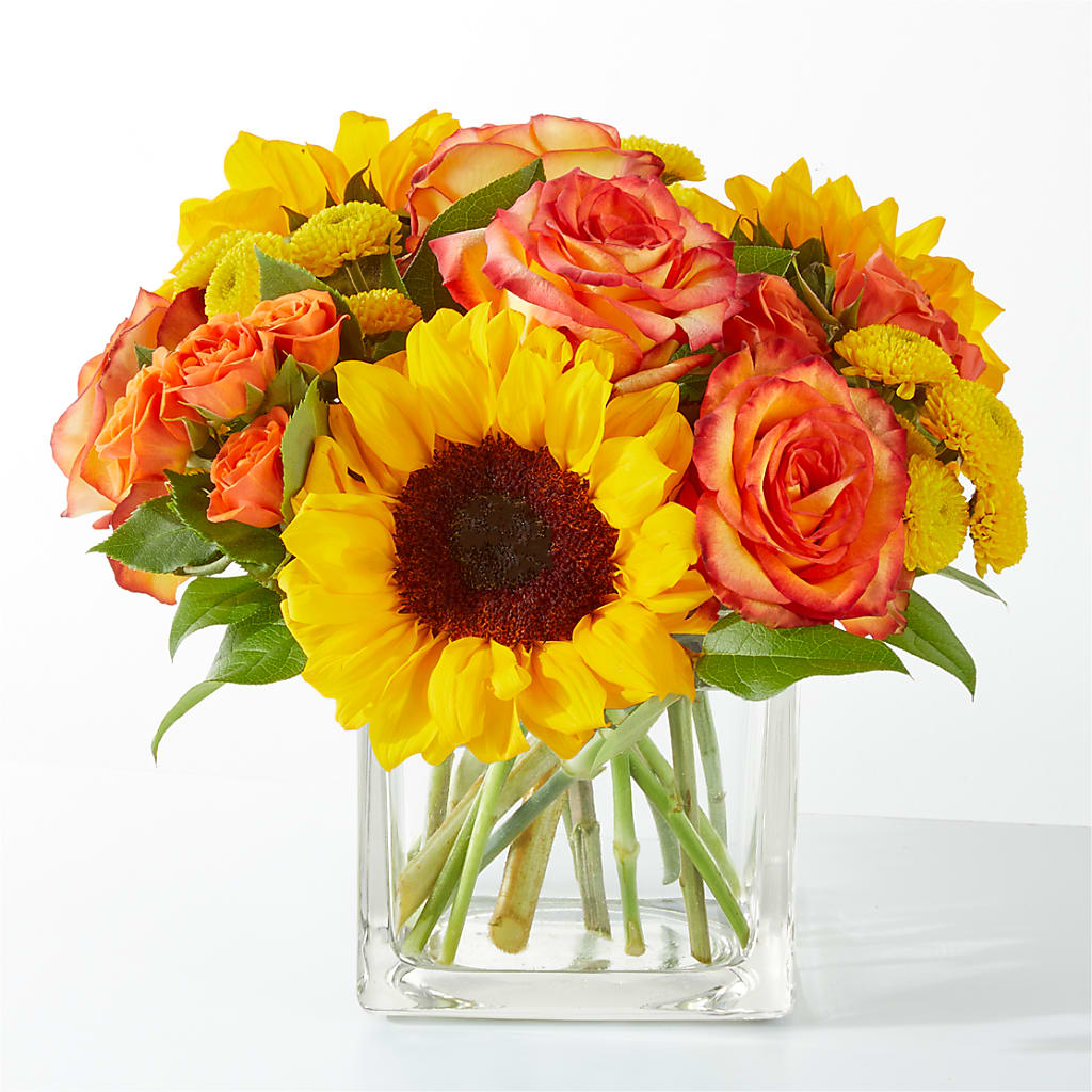 Picnic in the Park Bouquet – Murphy Florist, Cincinnati OH