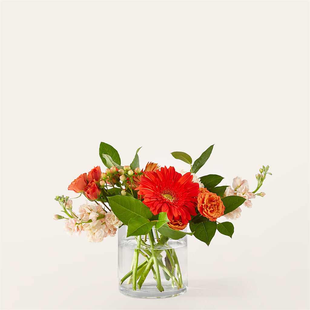 Paloma Please Bouquet – Murphy Florist, Cincinnati OH