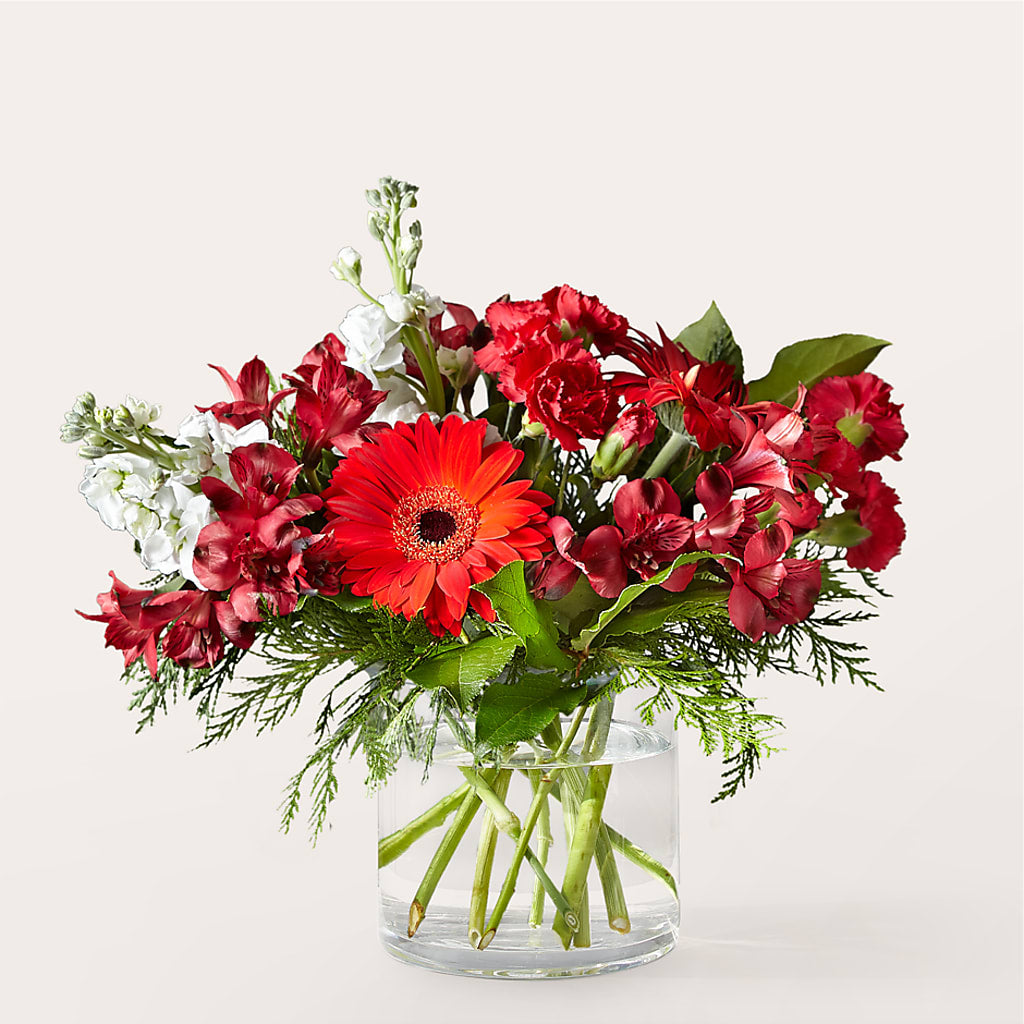 Holidaisy Bouquet – Murphy Florist, Cincinnati OH