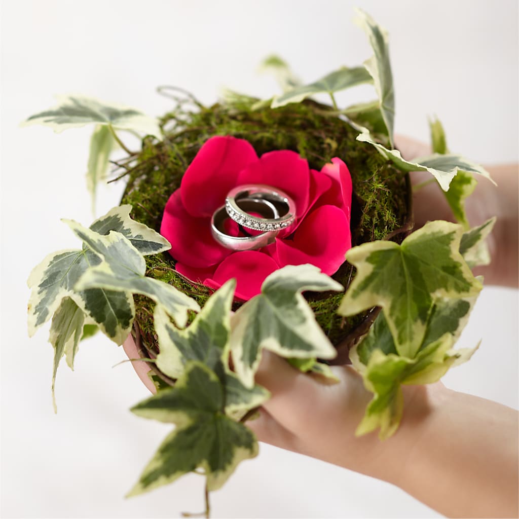 Lila Rose Ring Nest – Murphy Florist, Cincinnati OH