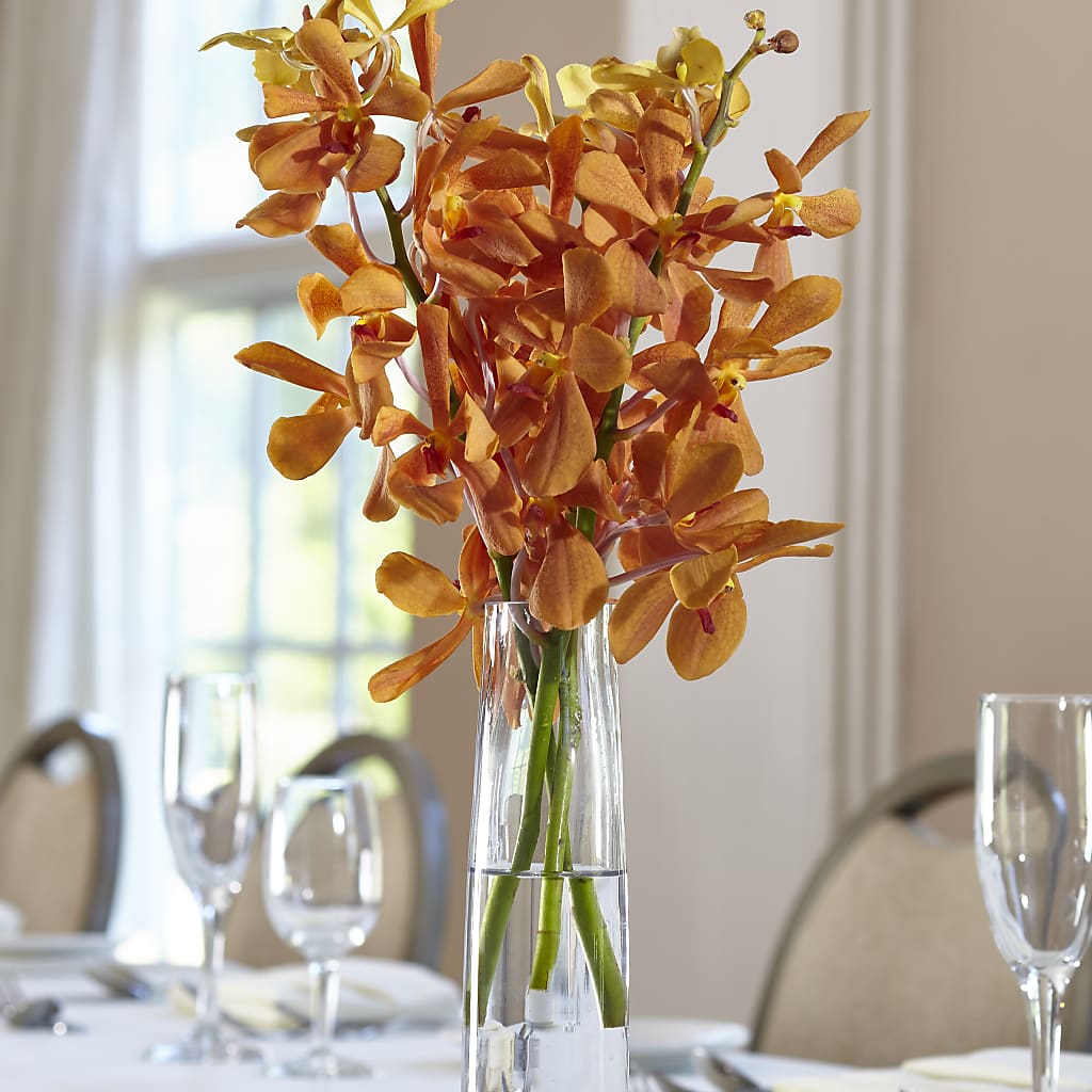 Orange Mokara Bud Vase – Murphy Florist, Cincinnati OH