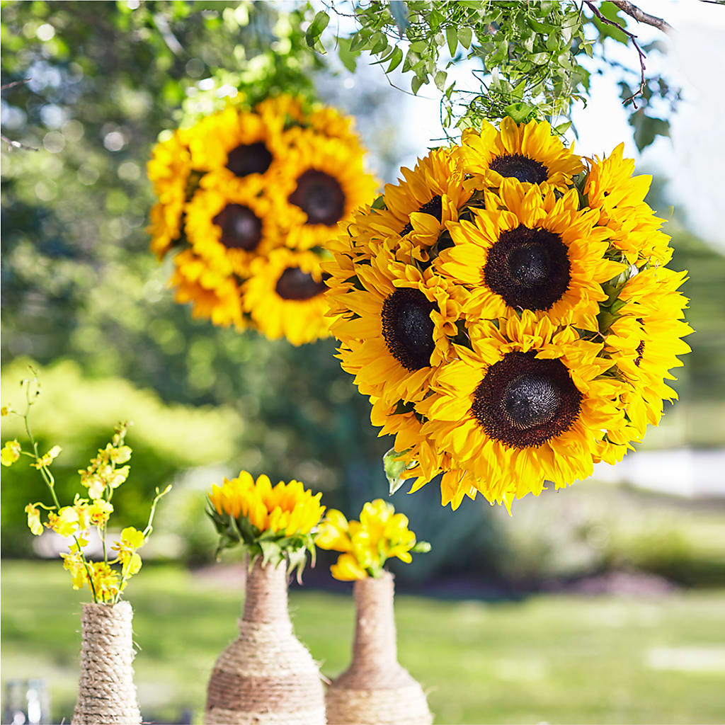 Sublime Garden Hanging Arrangement – Murphy Florist, Cincinnati OH