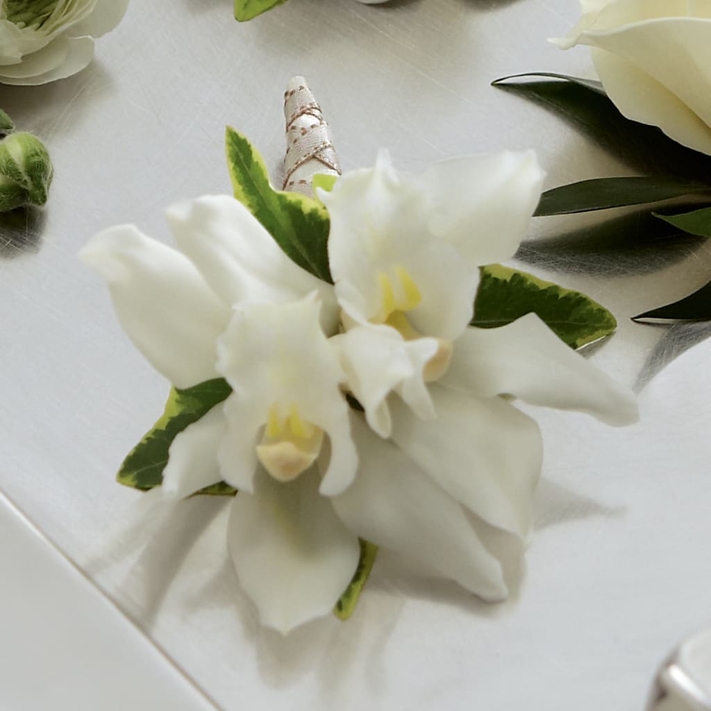 White Mini Cymbidium Boutonniere – Murphy Florist, Cincinnati OH