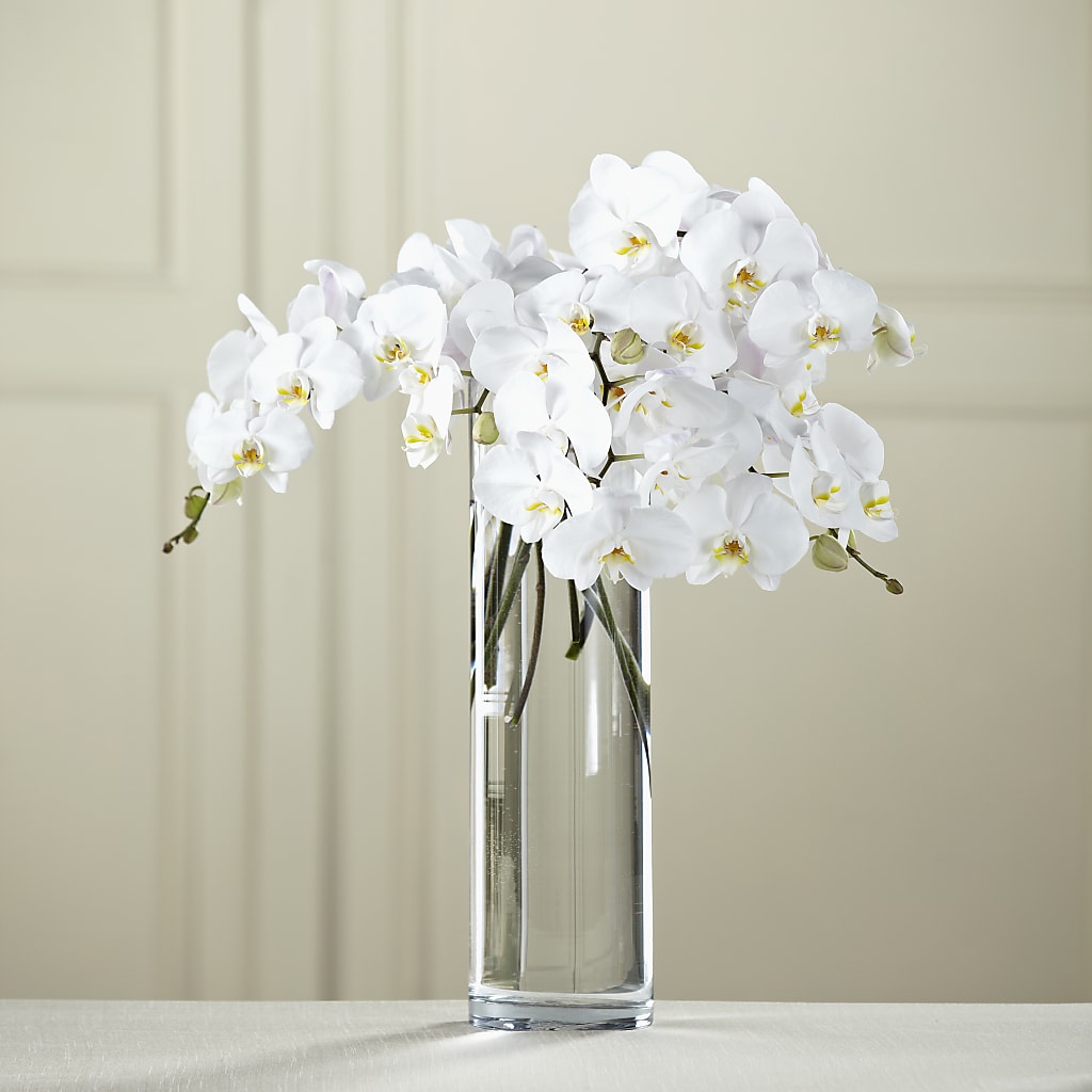 White Phalaenopsis Bouquet – Murphy Florist, Cincinnati OH