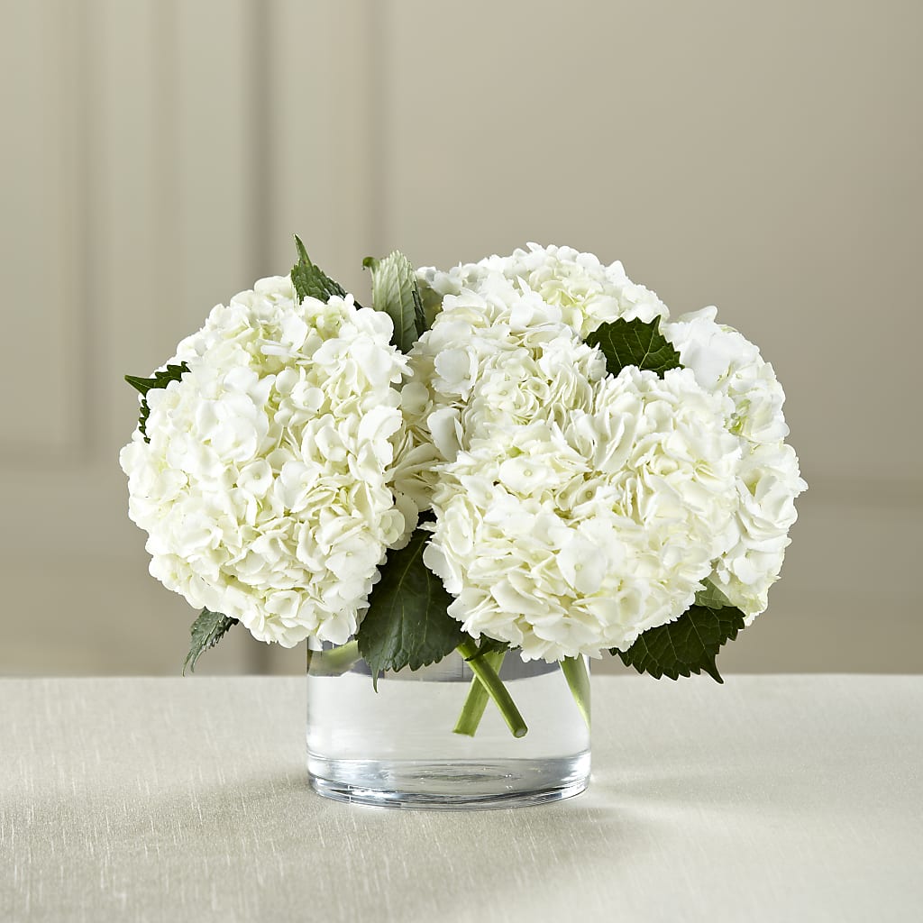 White Hydrangea Bouquet – Murphy Florist, Cincinnati OH
