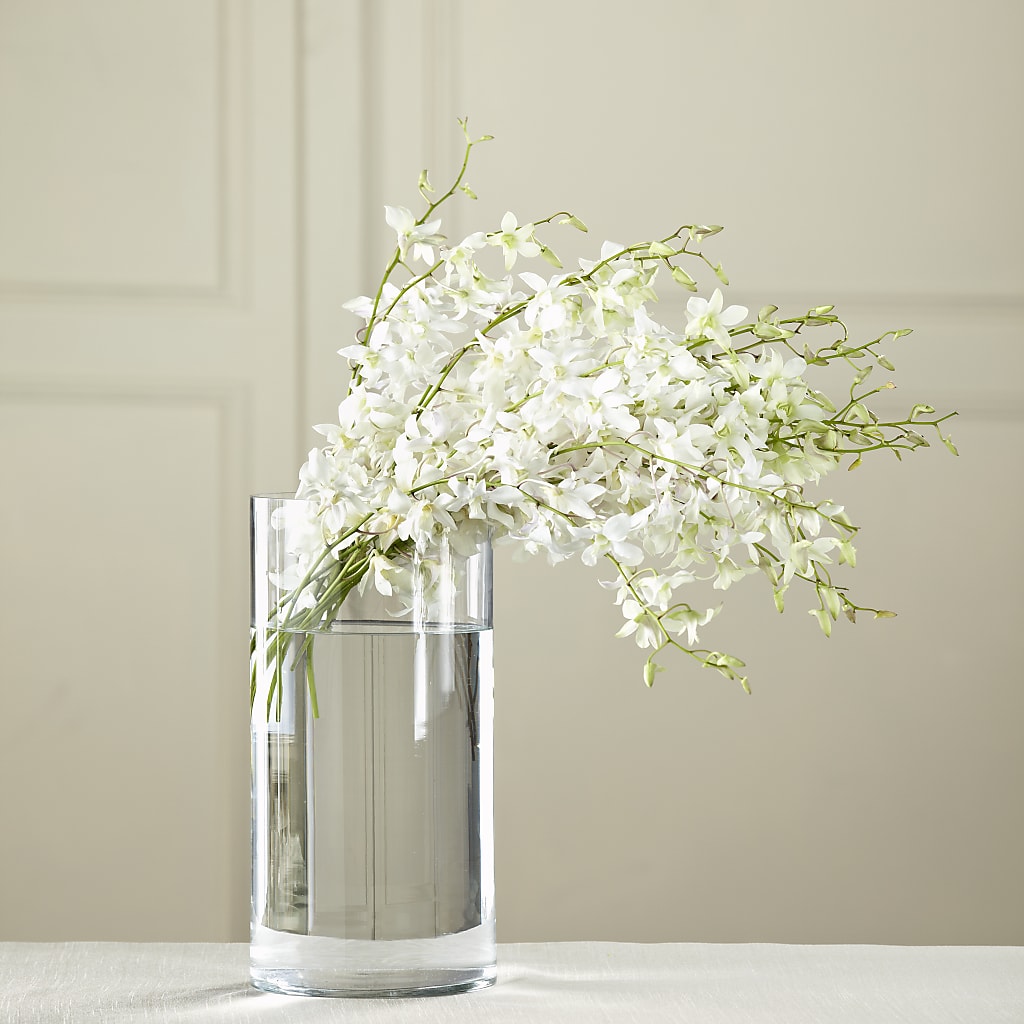 White Dendrobium Bouquet – Murphy Florist, Cincinnati OH