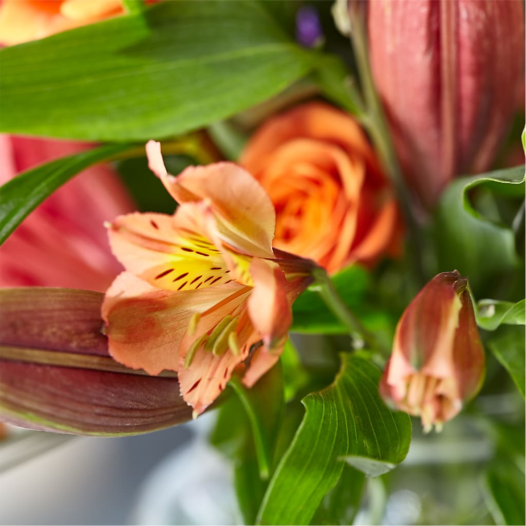 Bold & Bright – A Florist Original –  Murphy Florist, Cincinnati OH