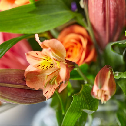 Bold & Bright – A Florist Original –  Murphy Florist, Cincinnati OH