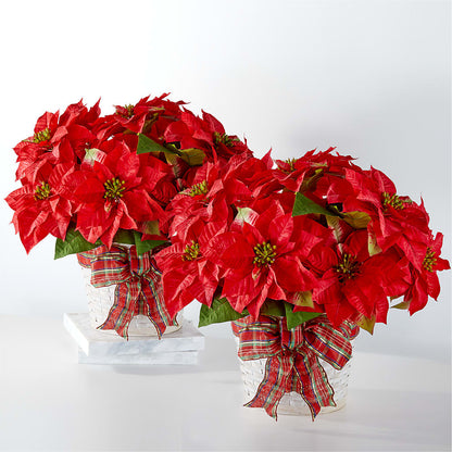 Happiest Holidays Poinsettia Bundle –  Murphy Florist, Cincinnati OH