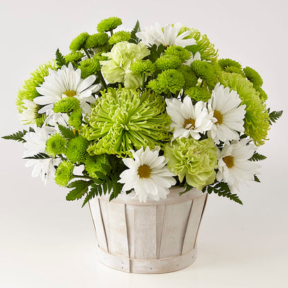 Lucky Charm Basket (Standard) –  Murphy Florist, Cincinnati OH