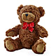Adorable Plush Bear –  Murphy Florist, Cincinnati OH
