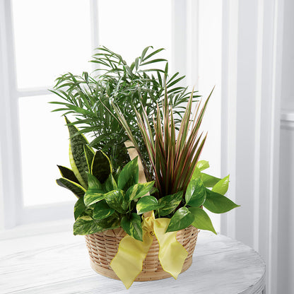 French Garden –  Murphy Florist, Cincinnati OH