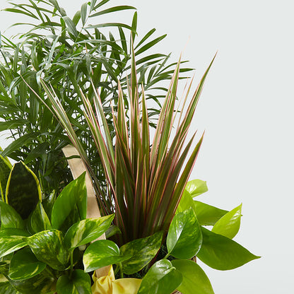 French Garden –  Murphy Florist, Cincinnati OH