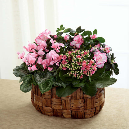 Pink Assortment –  Murphy Florist, Cincinnati OH