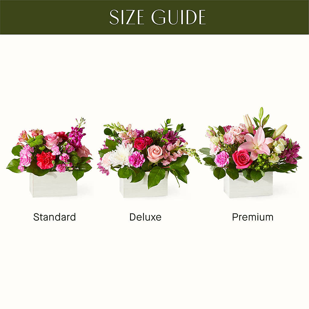 Sweetberry Box – A Florist Original –  Murphy Florist, Cincinnati OH