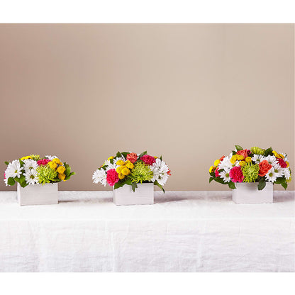 Sorbet Bouquet –  Murphy Florist, Cincinnati OH