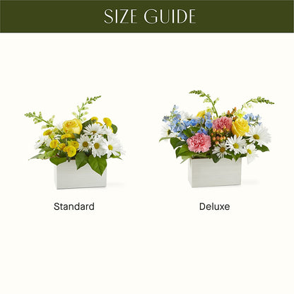 Sun Salutation Box Bouquet –  Murphy Florist, Cincinnati OH