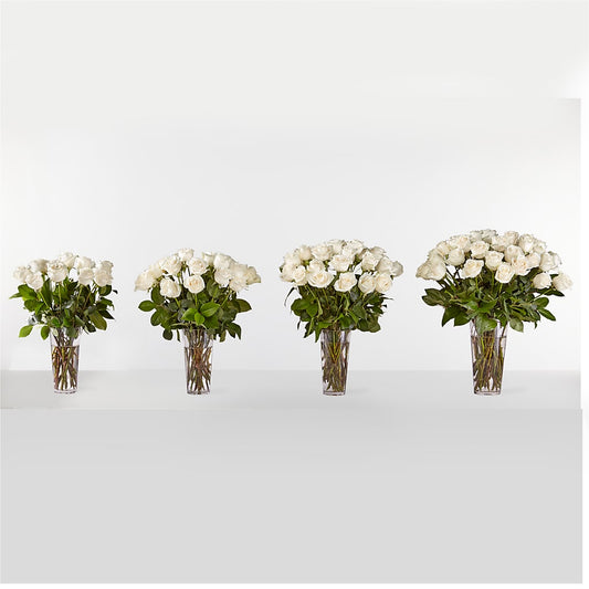 Long Stem White Rose Bouquet –  Murphy Florist, Cincinnati OH