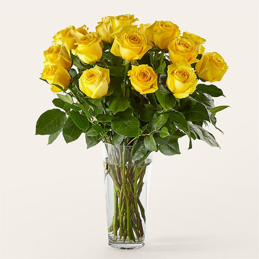 Long Stem Yellow Rose Bouquet –  Murphy Florist, Cincinnati OH