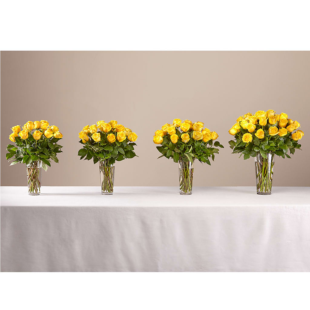 Long Stem Yellow Rose Bouquet –  Murphy Florist, Cincinnati OH