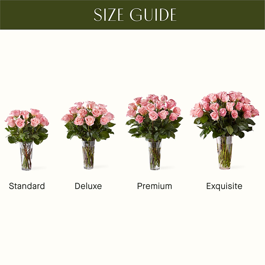 Long Stem Pink Rose Bouquet –  Murphy Florist, Cincinnati OH