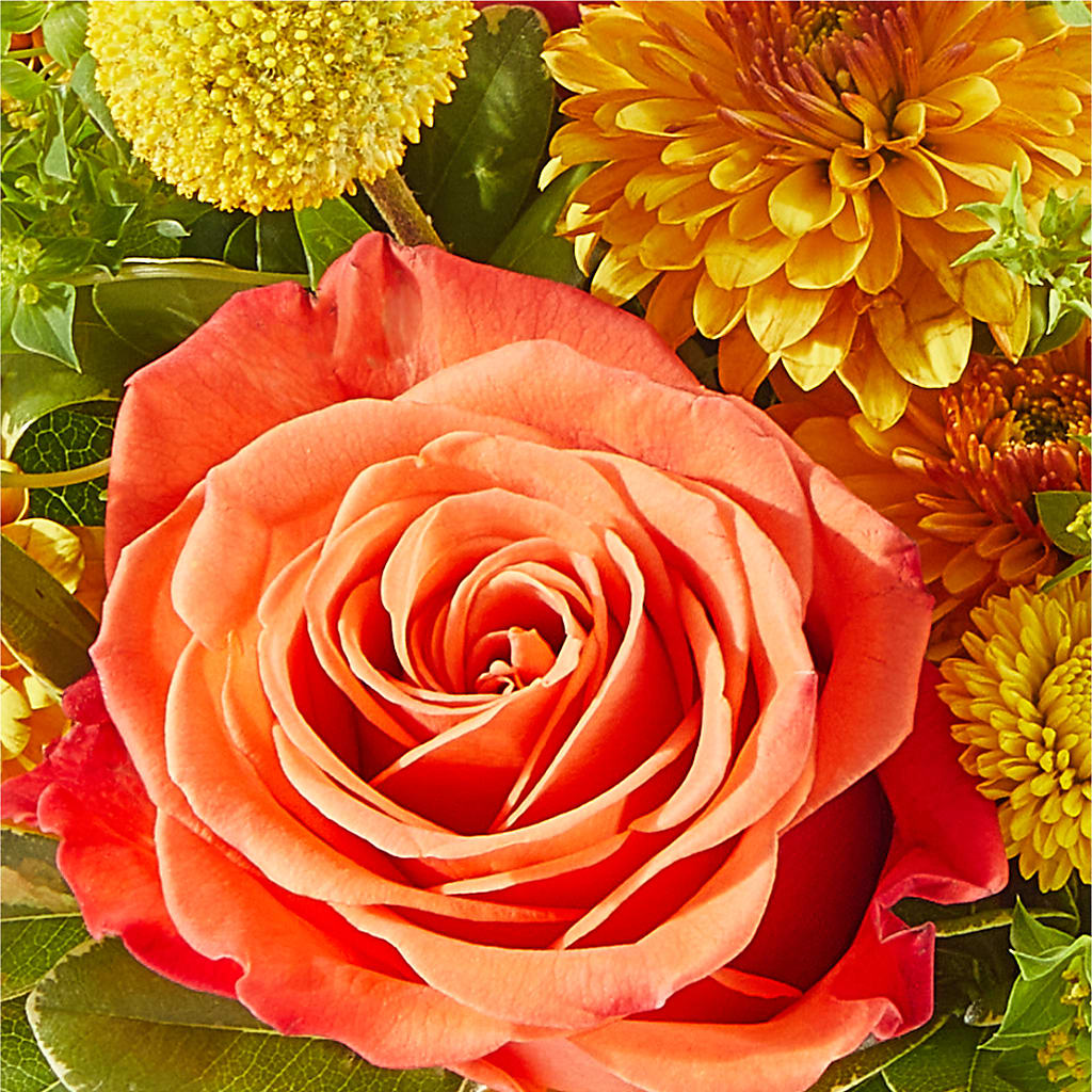 Gourdgeous Pumpkin –  Murphy Florist, Cincinnati OH