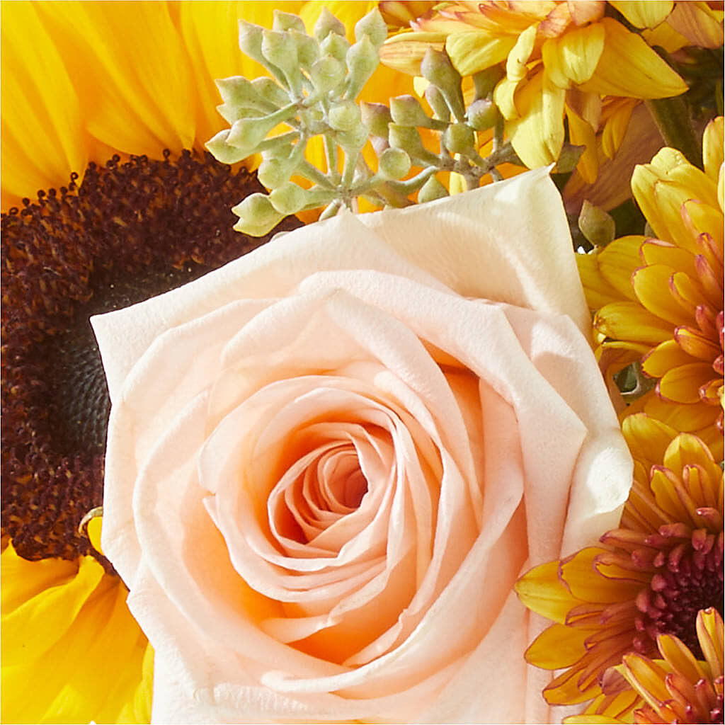 Pumpkin to Talk About Bouquet –  Murphy Florist, Cincinnati OH