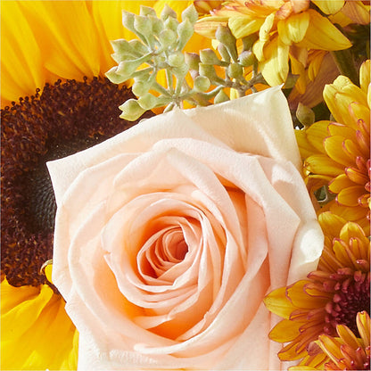 Pumpkin to Talk About Bouquet –  Murphy Florist, Cincinnati OH