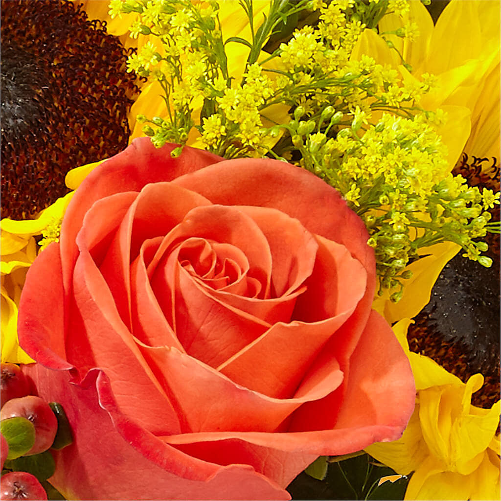Pick of the Patch Pumpkin Bouquet –  Murphy Florist, Cincinnati OH