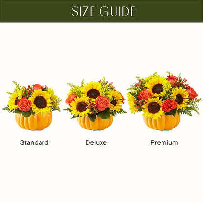 Pick of the Patch Pumpkin Bouquet –  Murphy Florist, Cincinnati OH