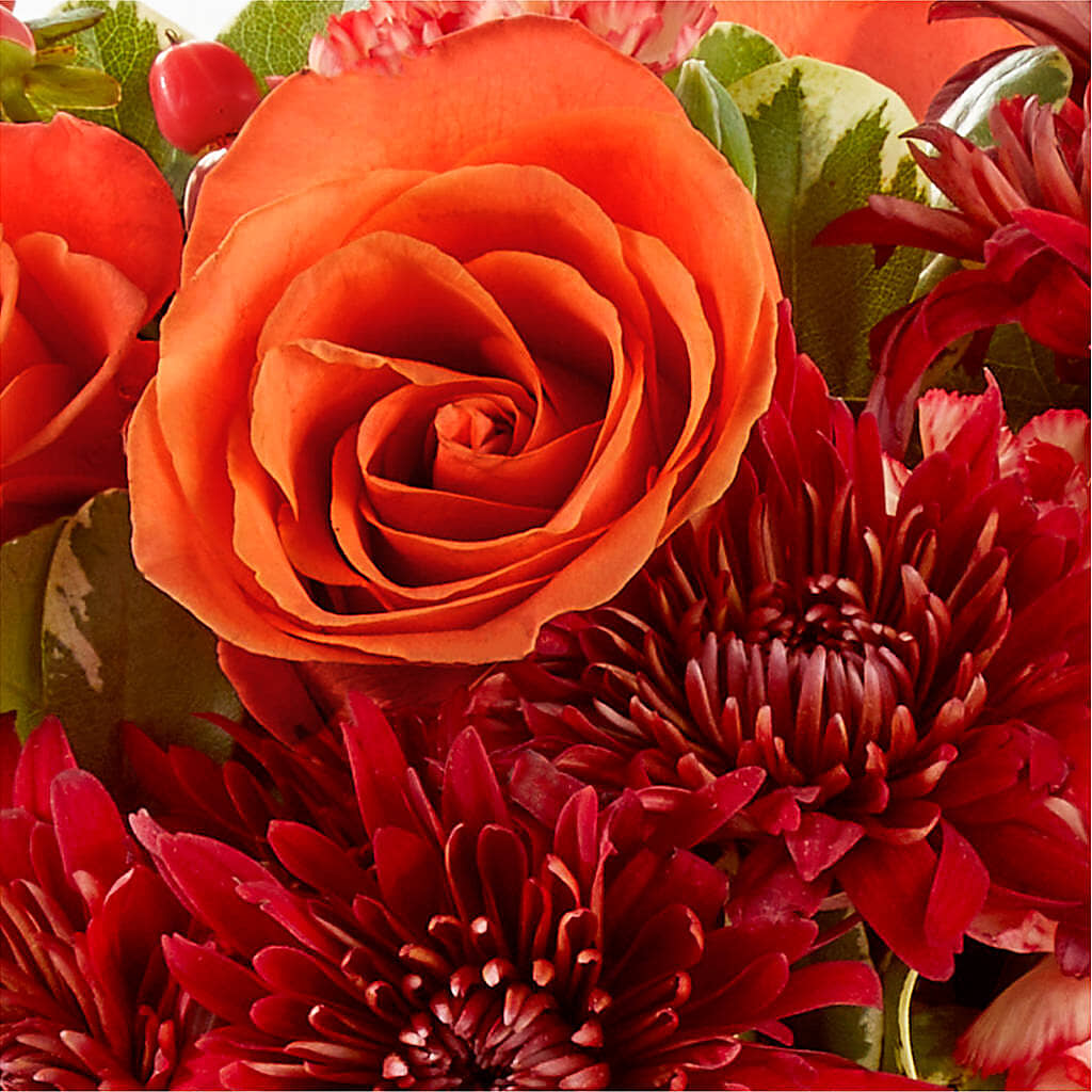 Autumn Air Pumpkin Bouquet –  Murphy Florist, Cincinnati OH