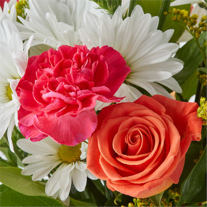 Oopsie Daisy Bouquet –  Murphy Florist, Cincinnati OH