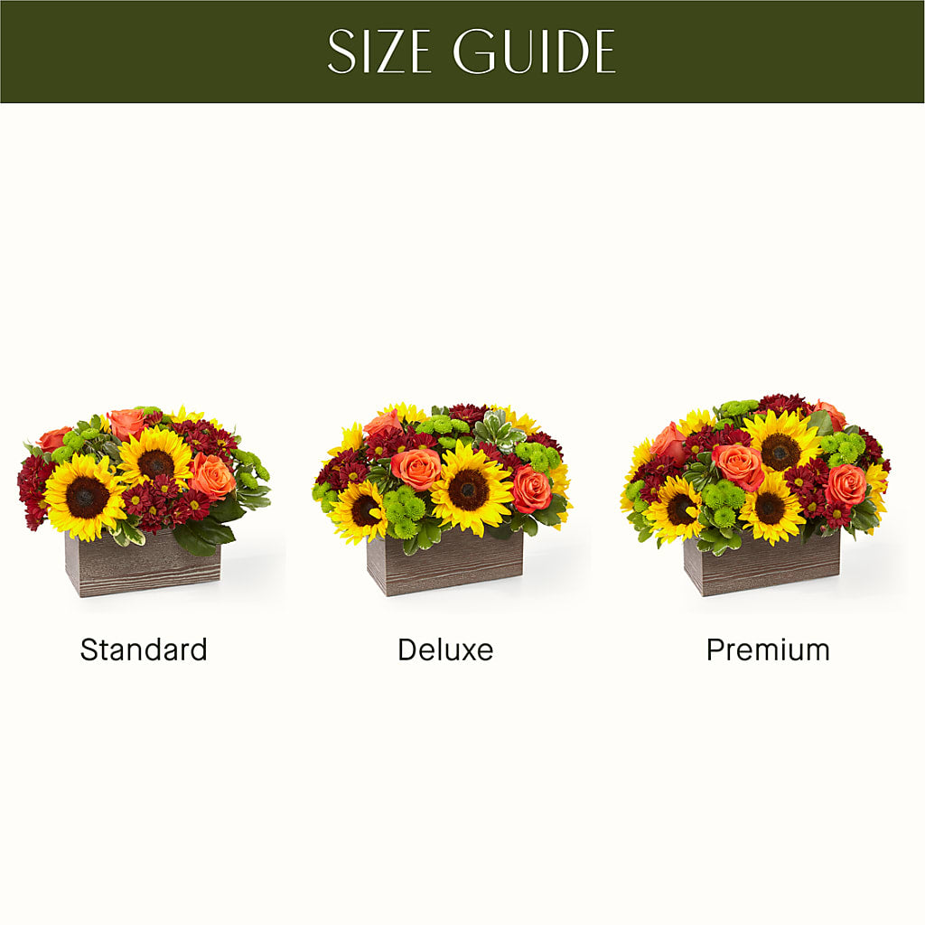 Happy Harvest Garden –  Murphy Florist, Cincinnati OH