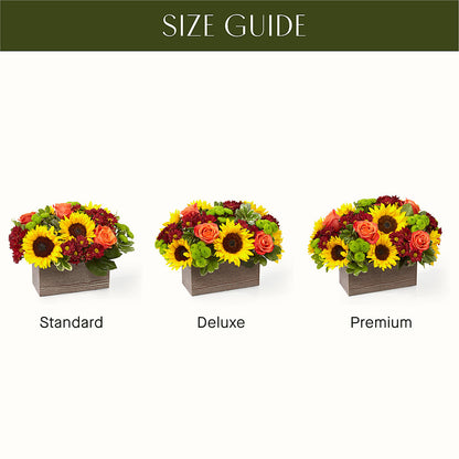 Happy Harvest Garden –  Murphy Florist, Cincinnati OH