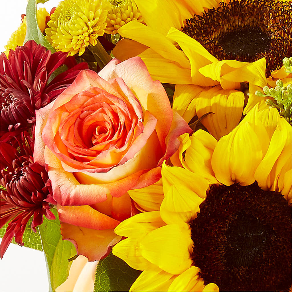 Golden Gourd Pumpkin Bouquet –  Murphy Florist, Cincinnati OH