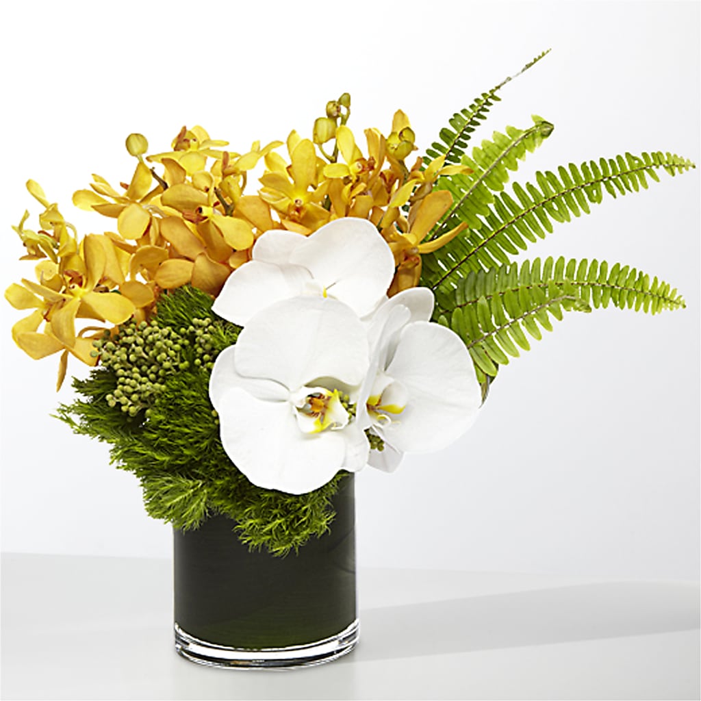 The Tropics –  Murphy Florist, Cincinnati OH