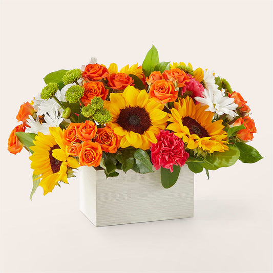 Sun-drenched Blooms Box Bouquet –  Murphy Florist, Cincinnati OH