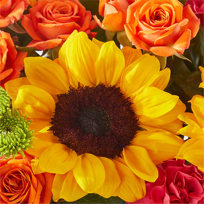 Sun-drenched Blooms Box Bouquet –  Murphy Florist, Cincinnati OH