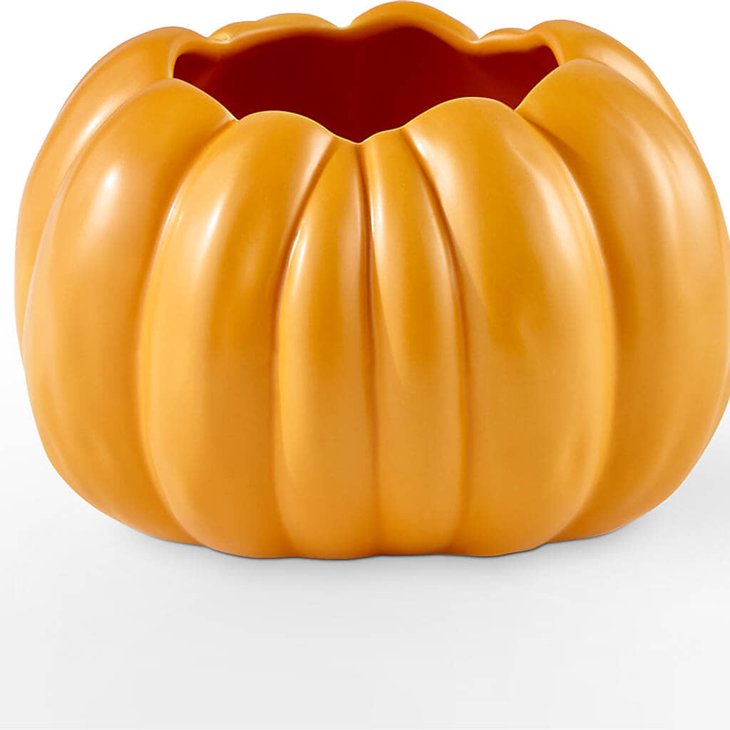 Pick of the Patch Pumpkin Bouquet –  Murphy Florist, Cincinnati OH