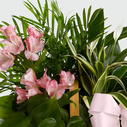 Living Spirit Dishgarden –  Murphy Florist, Cincinnati OH
